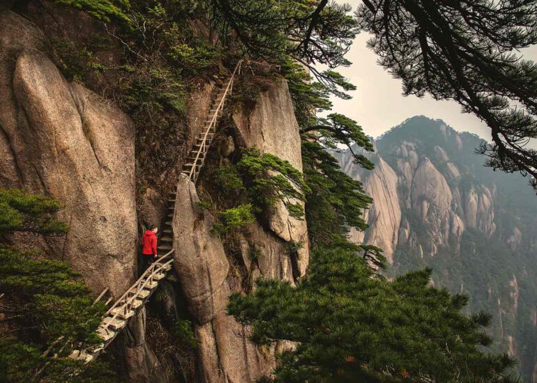 ladder